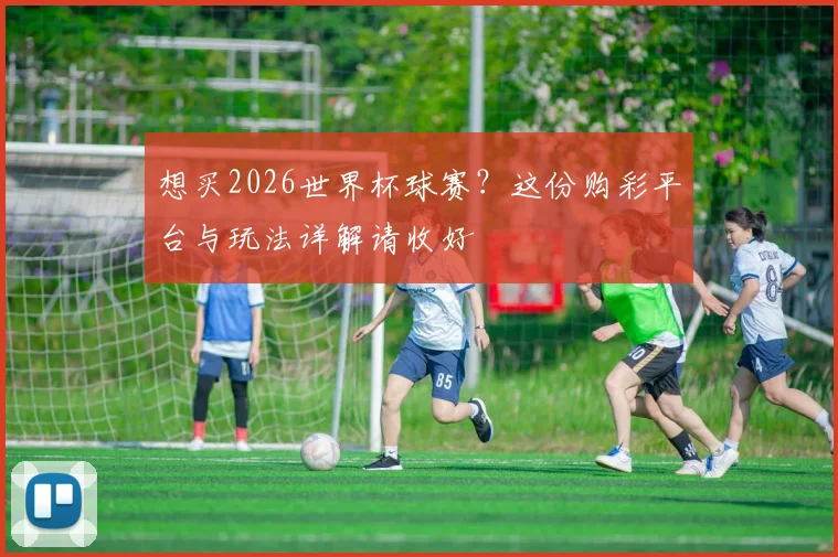 想买2026世界杯球赛？这份购彩平台与玩法详解请收好